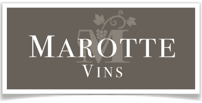 Domaine de Marotte - Nederlandse wijnboeren aan de voet van de Mont Ventoux